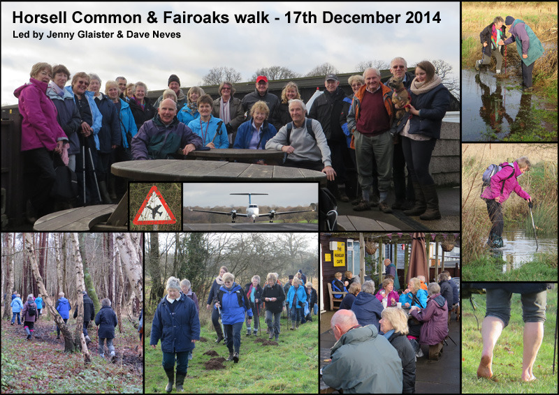 Horsell Common to Fairoaks Walk - 17th December 2014